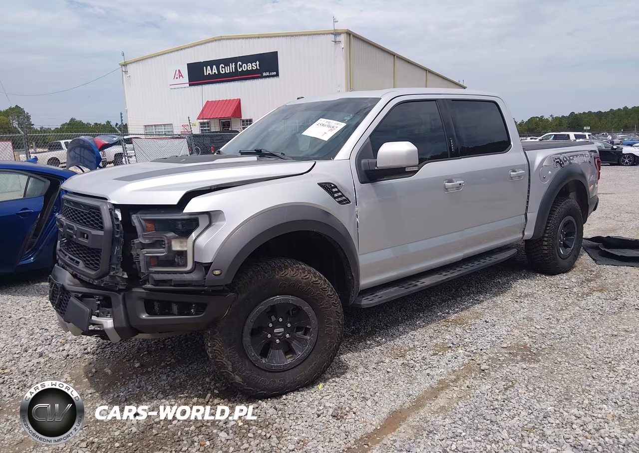 2018 Ford F-150 Raptor VIN:1FTFW1RG1JFE46140 - 2