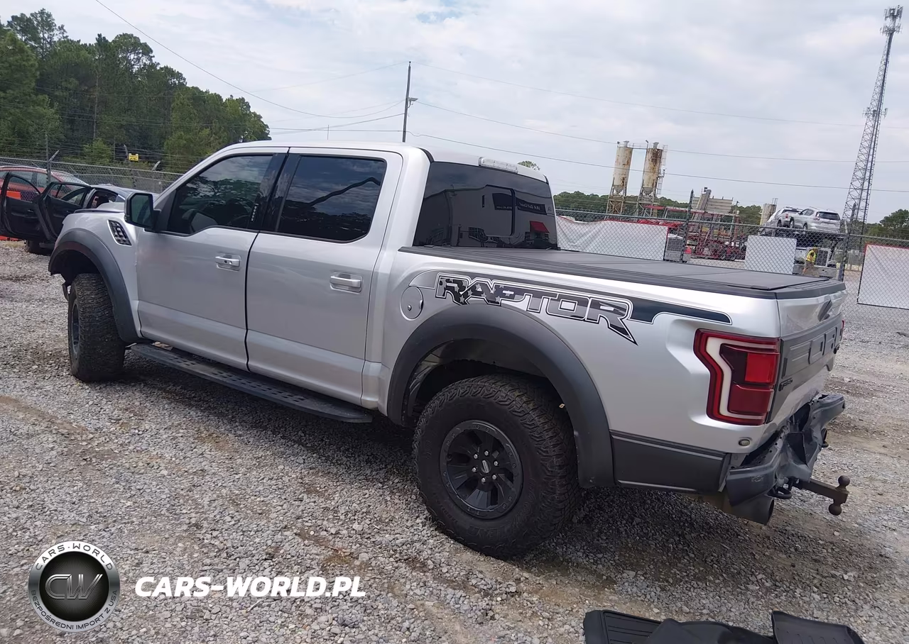 2018 Ford F-150 Raptor VIN:1FTFW1RG1JFE46140 - 3