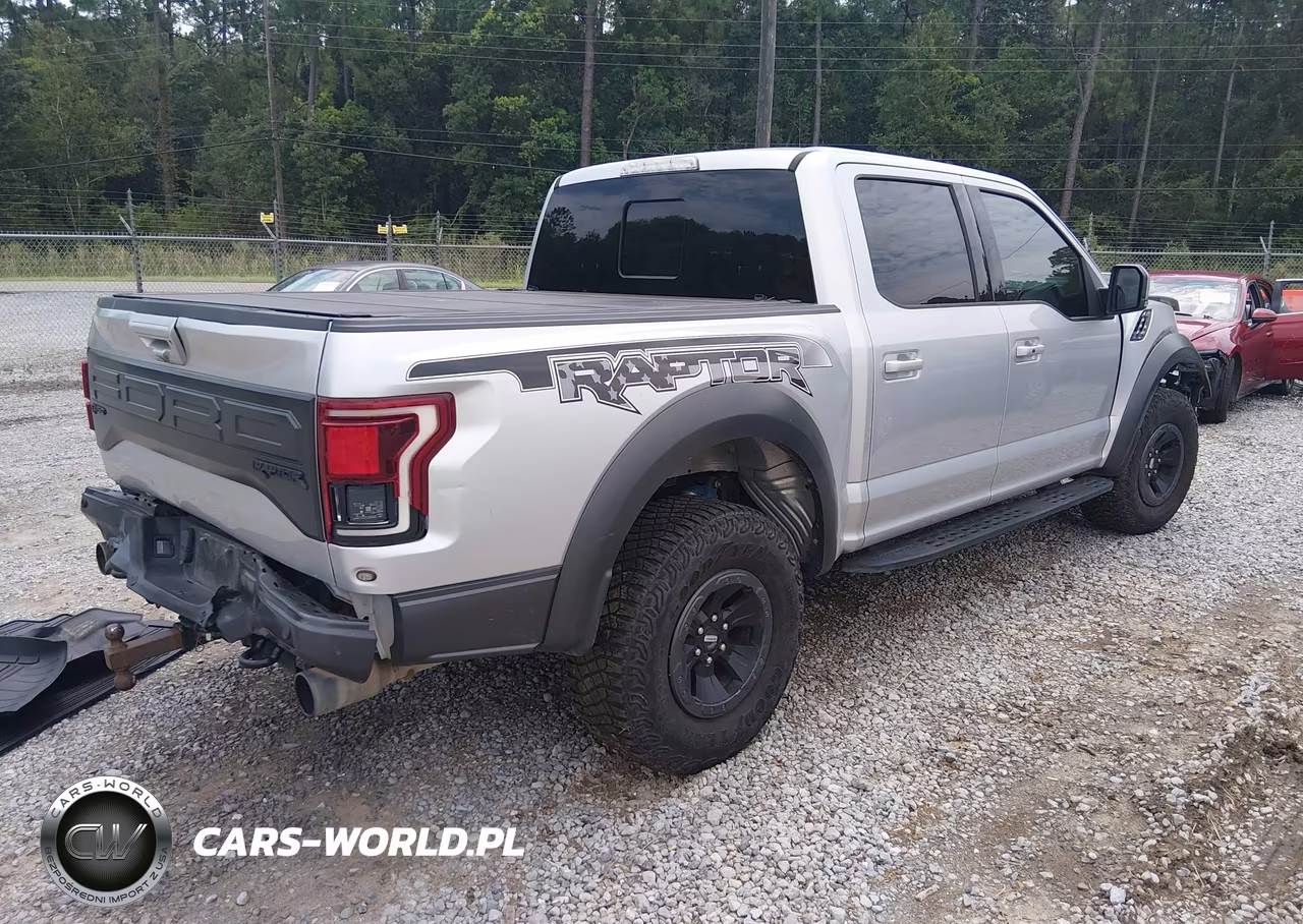 2018 Ford F-150 Raptor VIN:1FTFW1RG1JFE46140 - 4