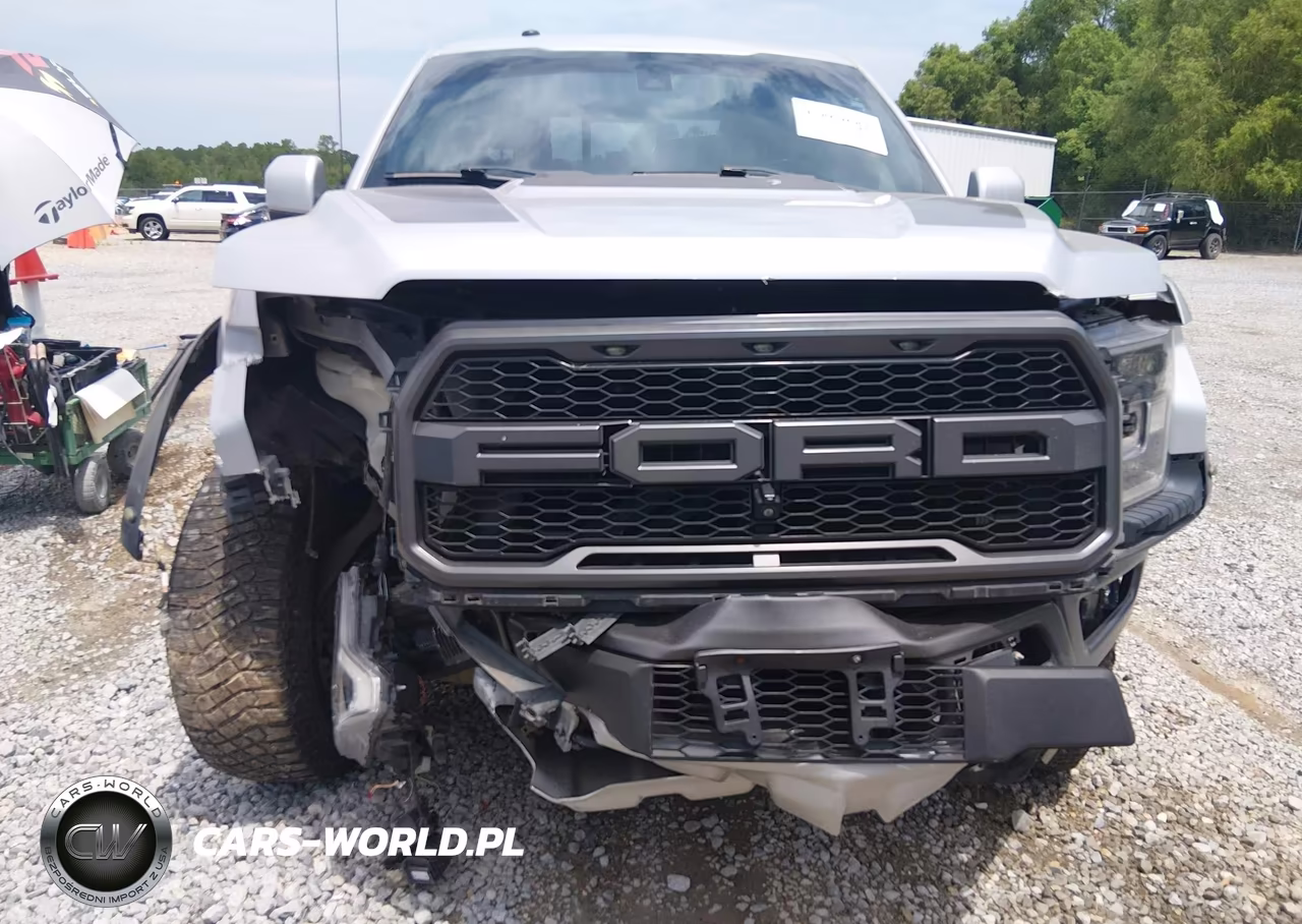 2018 Ford F-150 Raptor VIN:1FTFW1RG1JFE46140 - 6