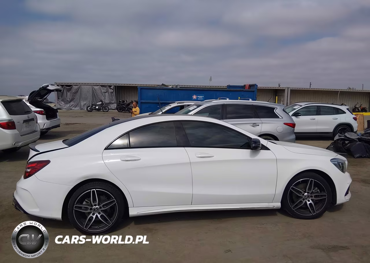 2019 Mercedes-Benz Cla 250 VIN:WDDSJ4EB9KN767378 - 13