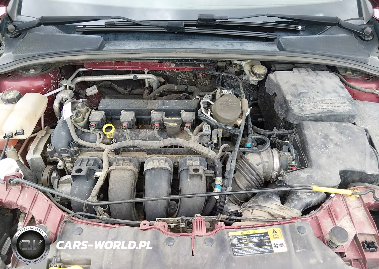 2014 Ford Focus Se VIN:1FADP3K22EL185077 - 10