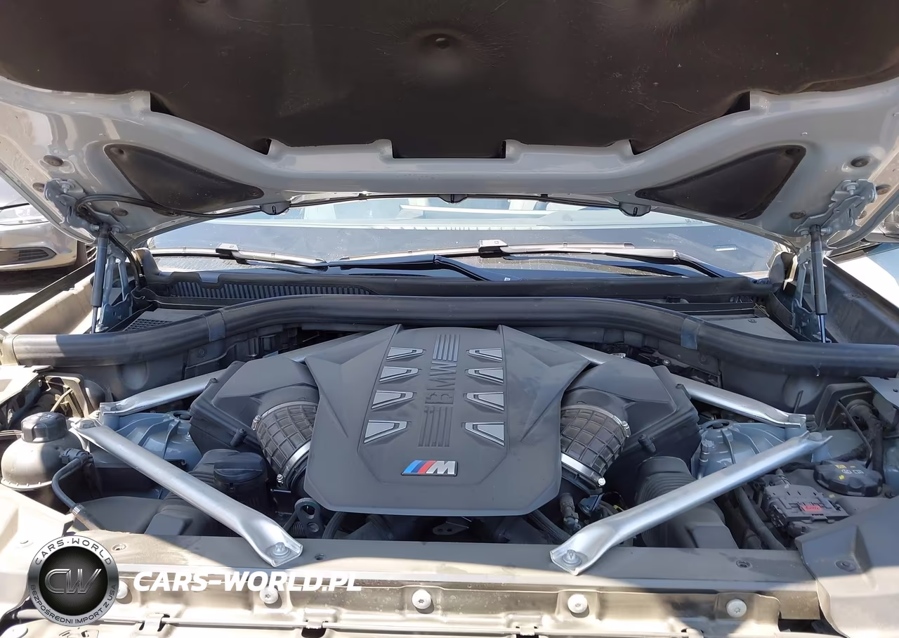 2025 BMW X6 M60I VIN:5UX43EX01S9X04233 - 10