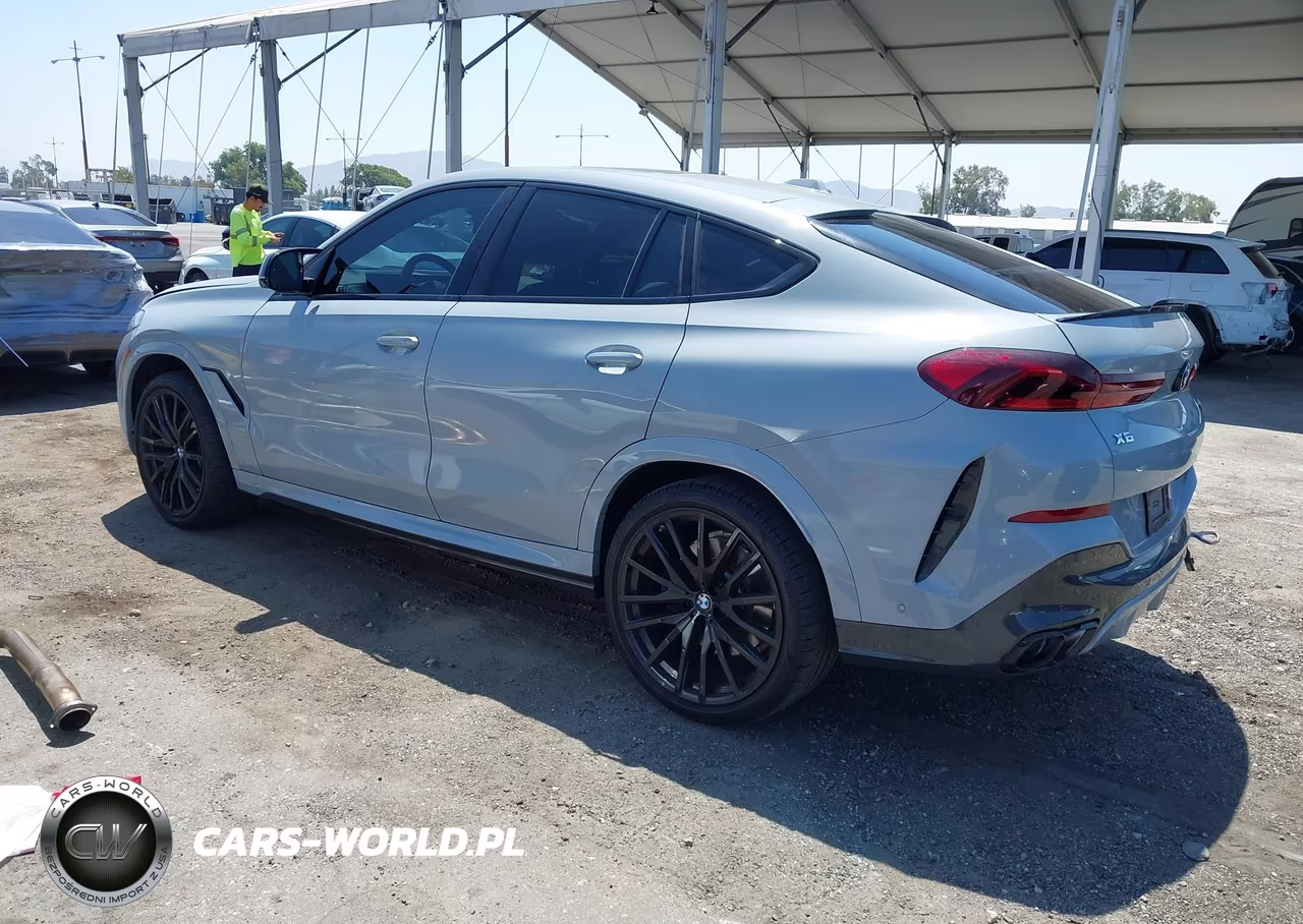 2025 BMW X6 M60I VIN:5UX43EX01S9X04233 - 3