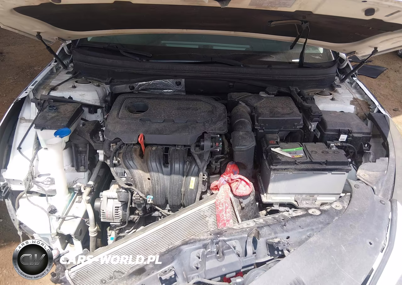 2015 Hyundai Sonata Sport VIN:5NPE34AF8FH046937 - 10