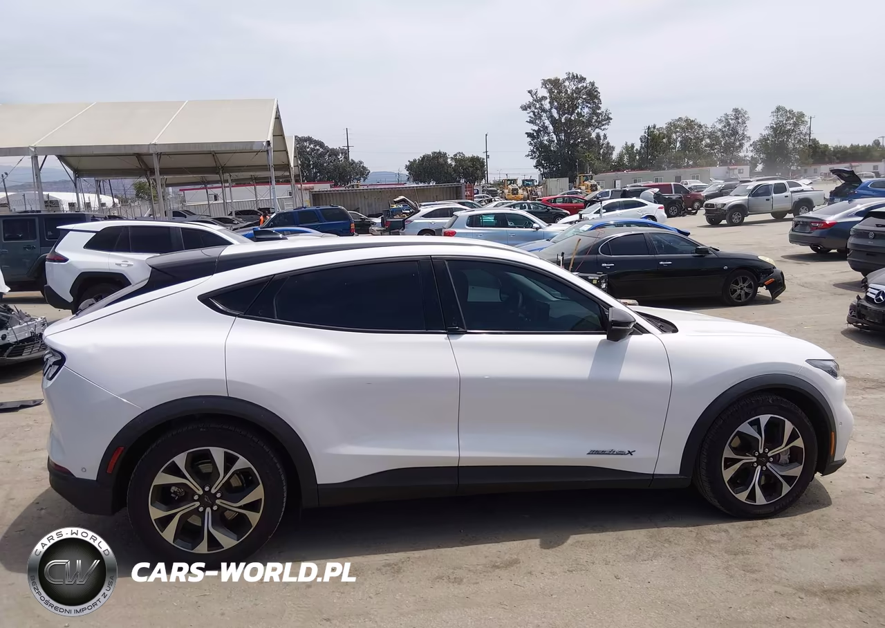 2024 Ford Mustang Mach-E Select VIN:3FMTK1SU3RMA36154 - 12