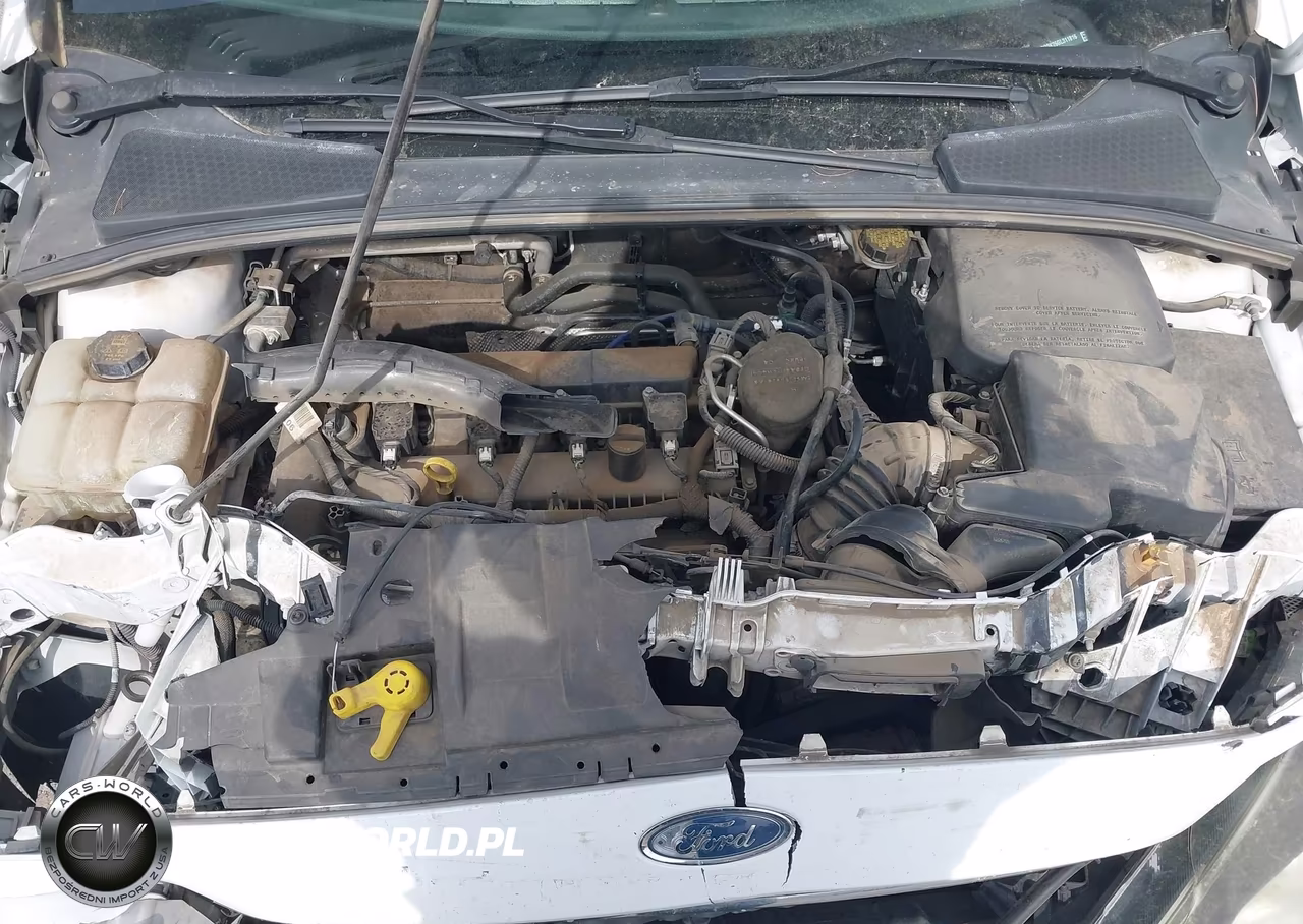2016 Ford Focus Se VIN:1FADP3K26GL311816 - 10