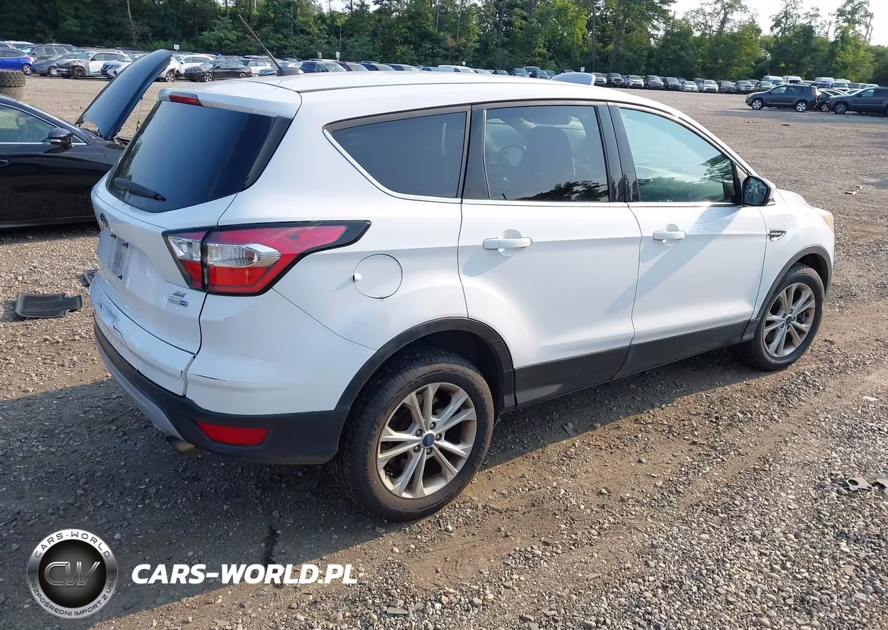 2017 Ford Escape Se VIN:1FMCU9GDXHUD73738 - 4