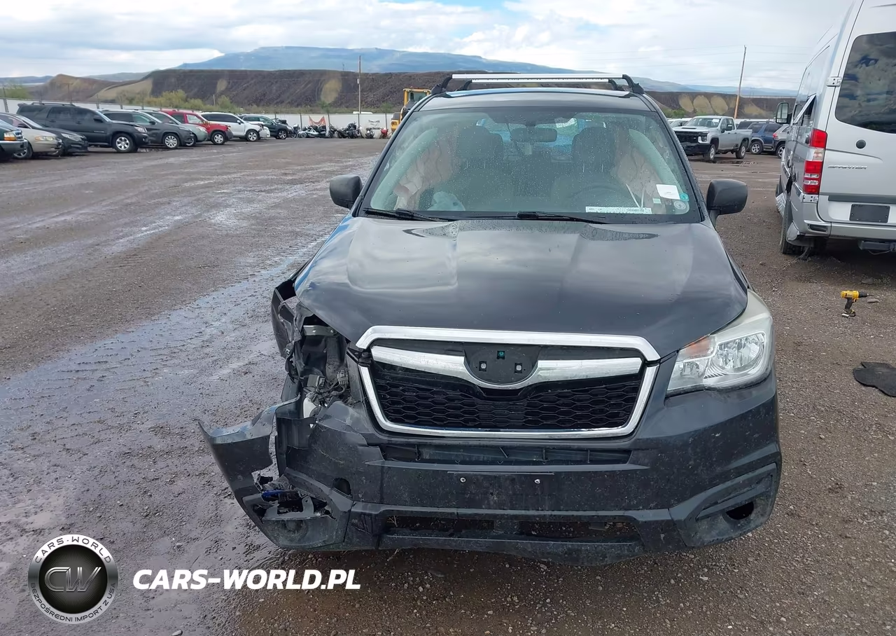 2017 Subaru Forester 2.5I VIN:JF2SJAAC6HG584784 - 13