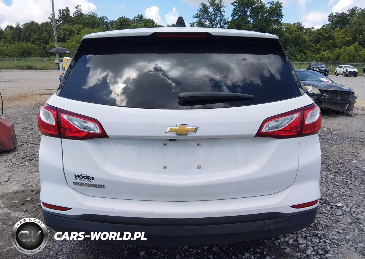 2020 Chevrolet Equinox Fwd Ls VIN:3GNAXHEVXLS655581 - 17