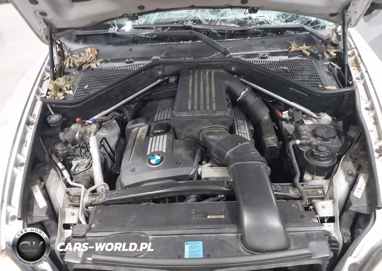 2009 BMW X5 xDrive30I VIN:5UXFE43589L266256 - 10