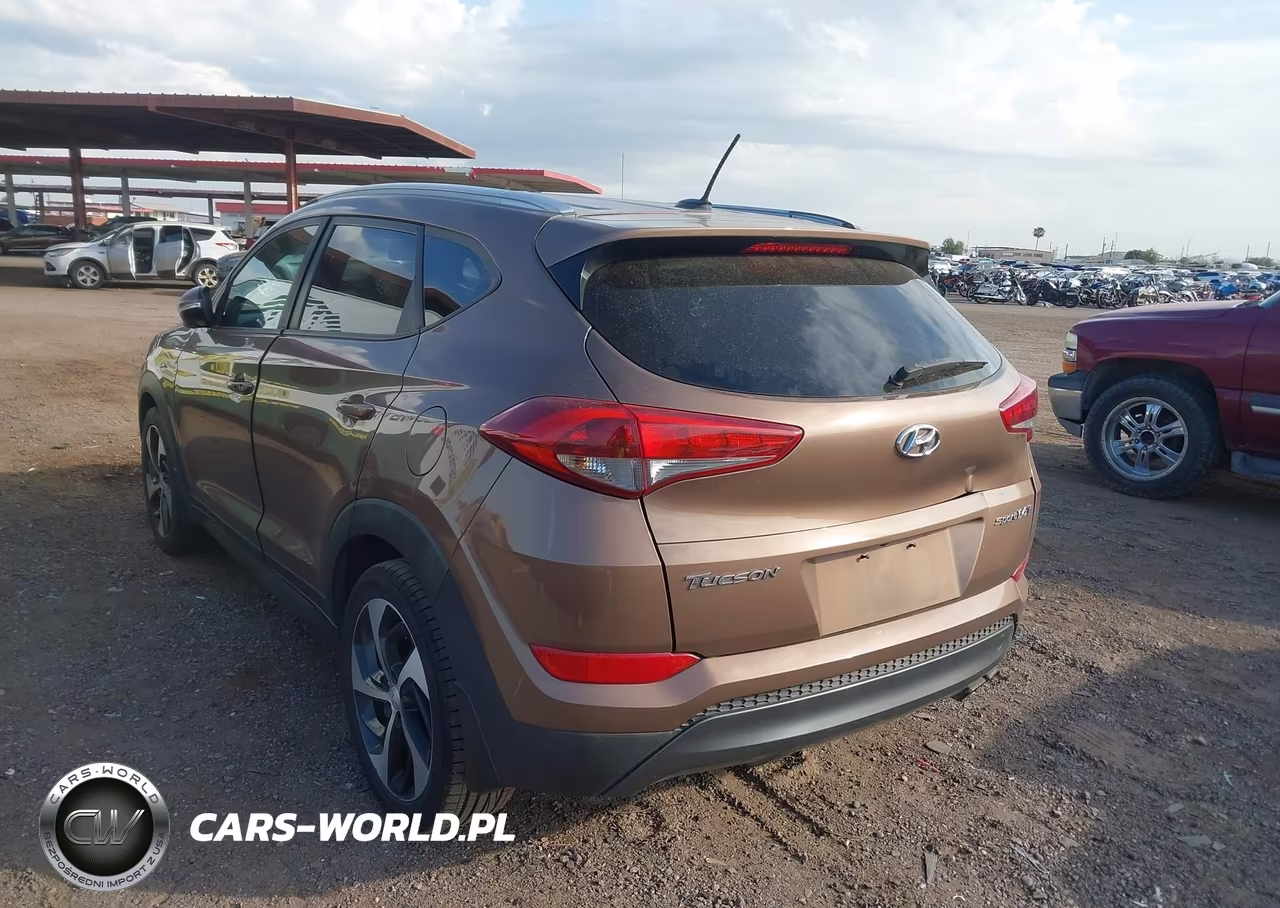 2016 Hyundai Tucson Sport VIN:KM8J33A26GU189023 - 3
