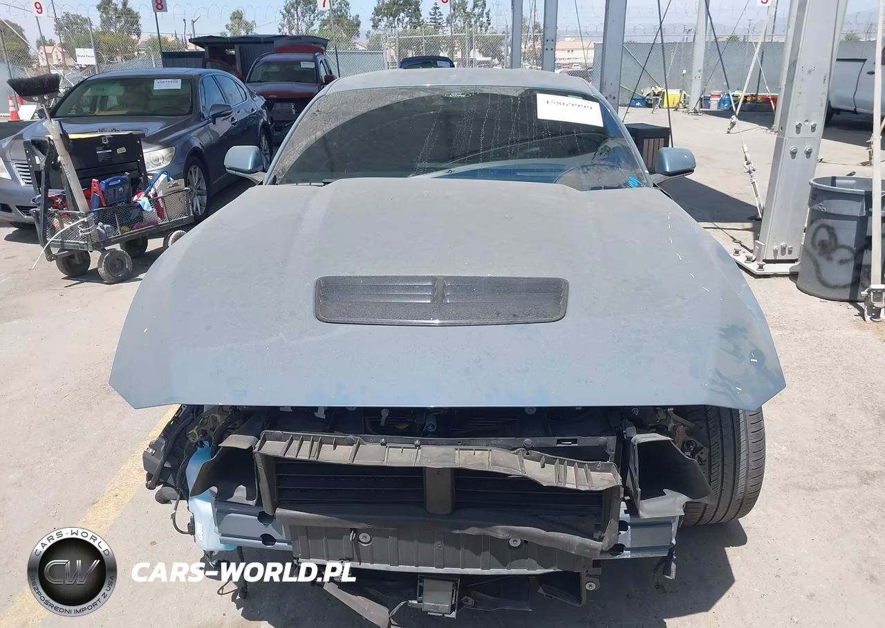 2024 Ford Mustang Gt Premium Fastback VIN:1FA6P8CF5R5435428 - 13