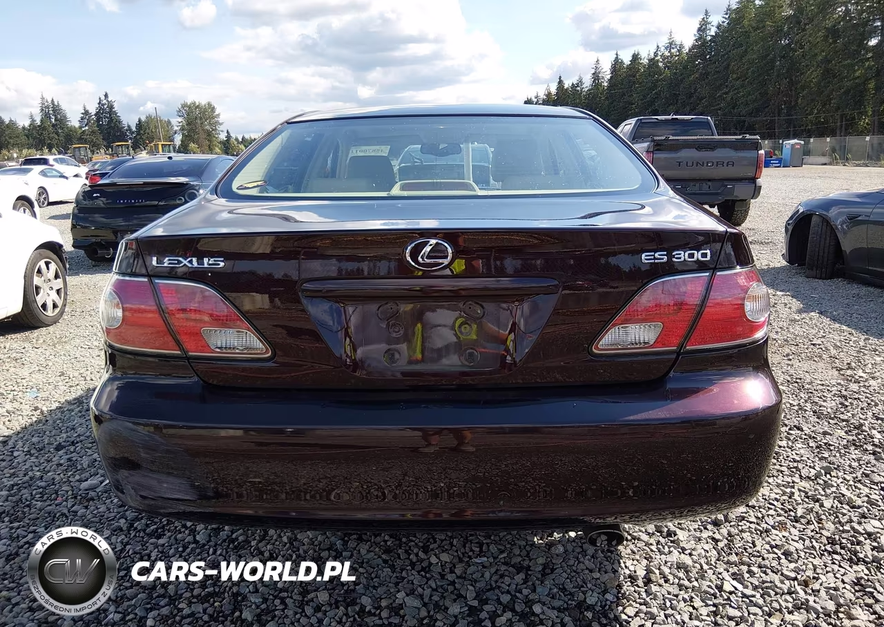 2002 Lexus Es 300 VIN:JTHBF30G725029215 - 16