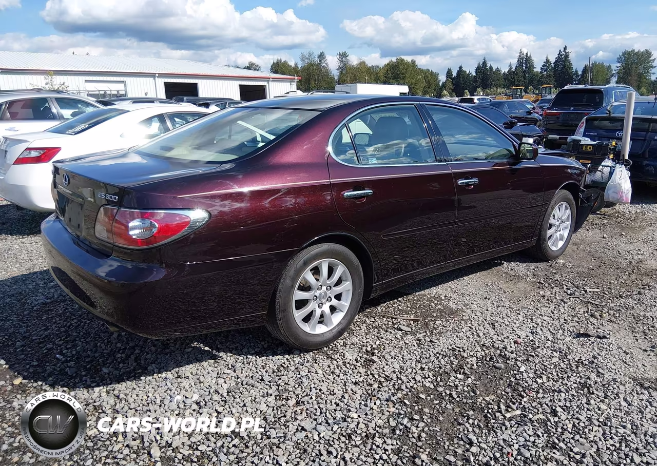 2002 Lexus Es 300 VIN:JTHBF30G725029215 - 4