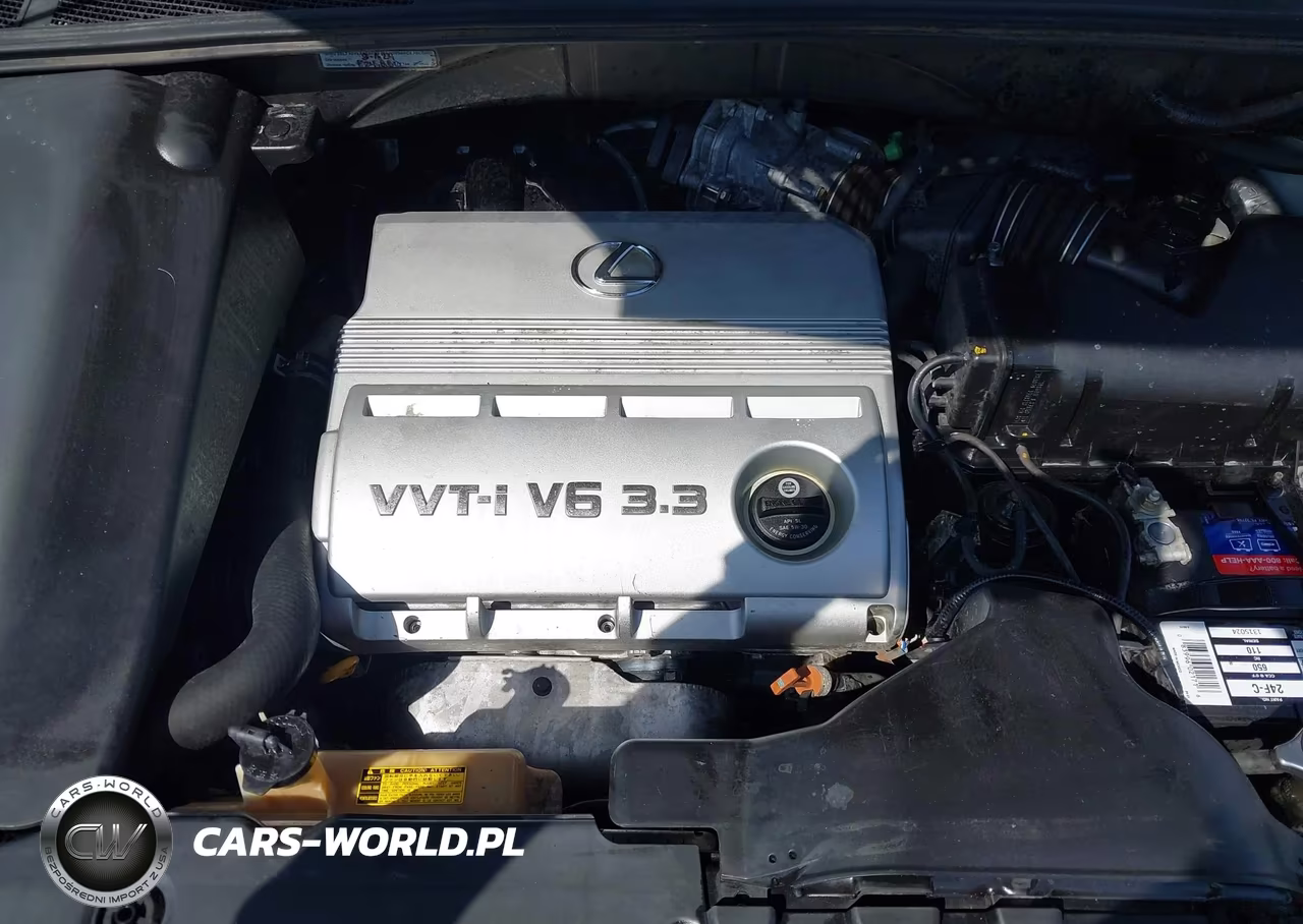 2005 Lexus Rx 330 VIN:JTJGA31UX50047121 - 10