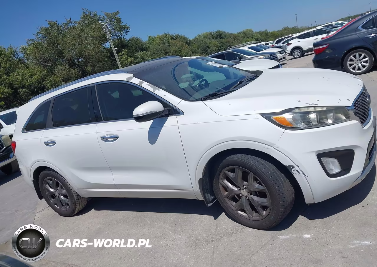 2016 Kia Sorento 3.3L Sx VIN:5XYPK4A51GG080861 - 13