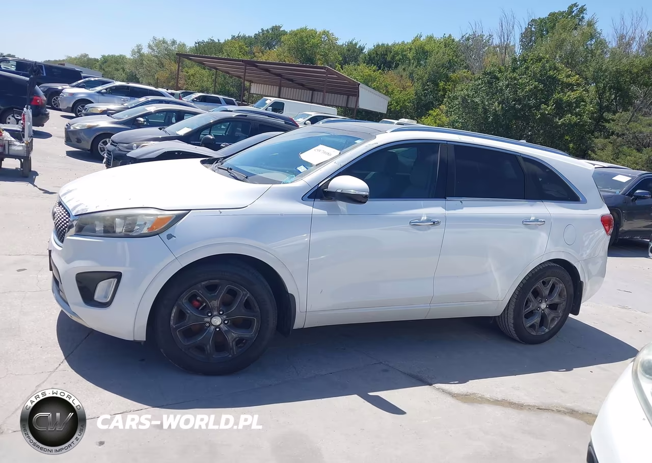 2016 Kia Sorento 3.3L Sx VIN:5XYPK4A51GG080861 - 14