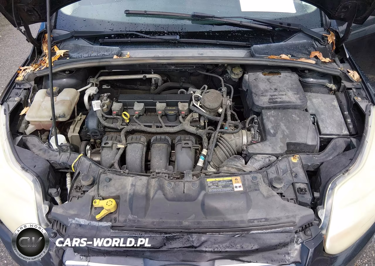2014 Ford Focus Se VIN:1FADP3F2XEL216053 - 10