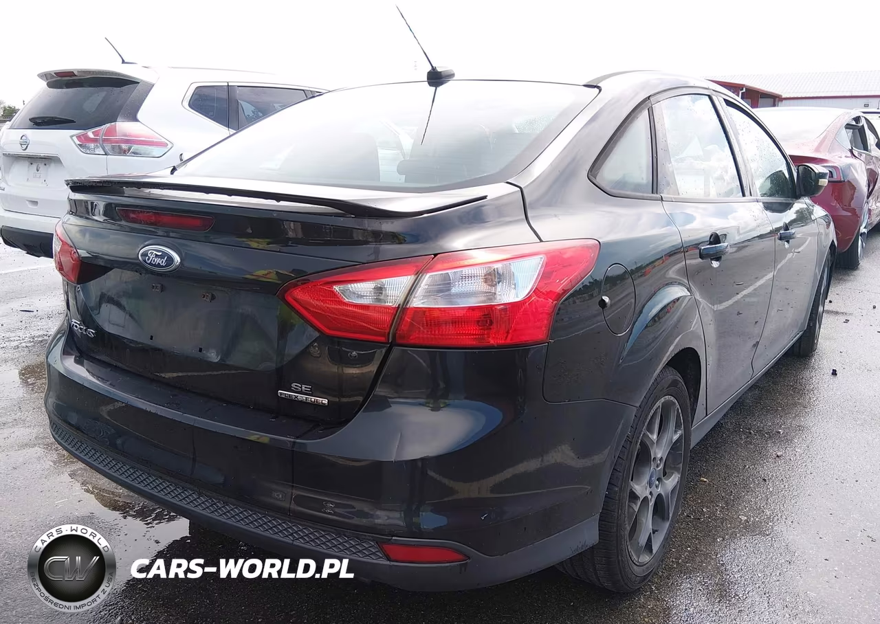 2014 Ford Focus Se VIN:1FADP3F2XEL216053 - 4