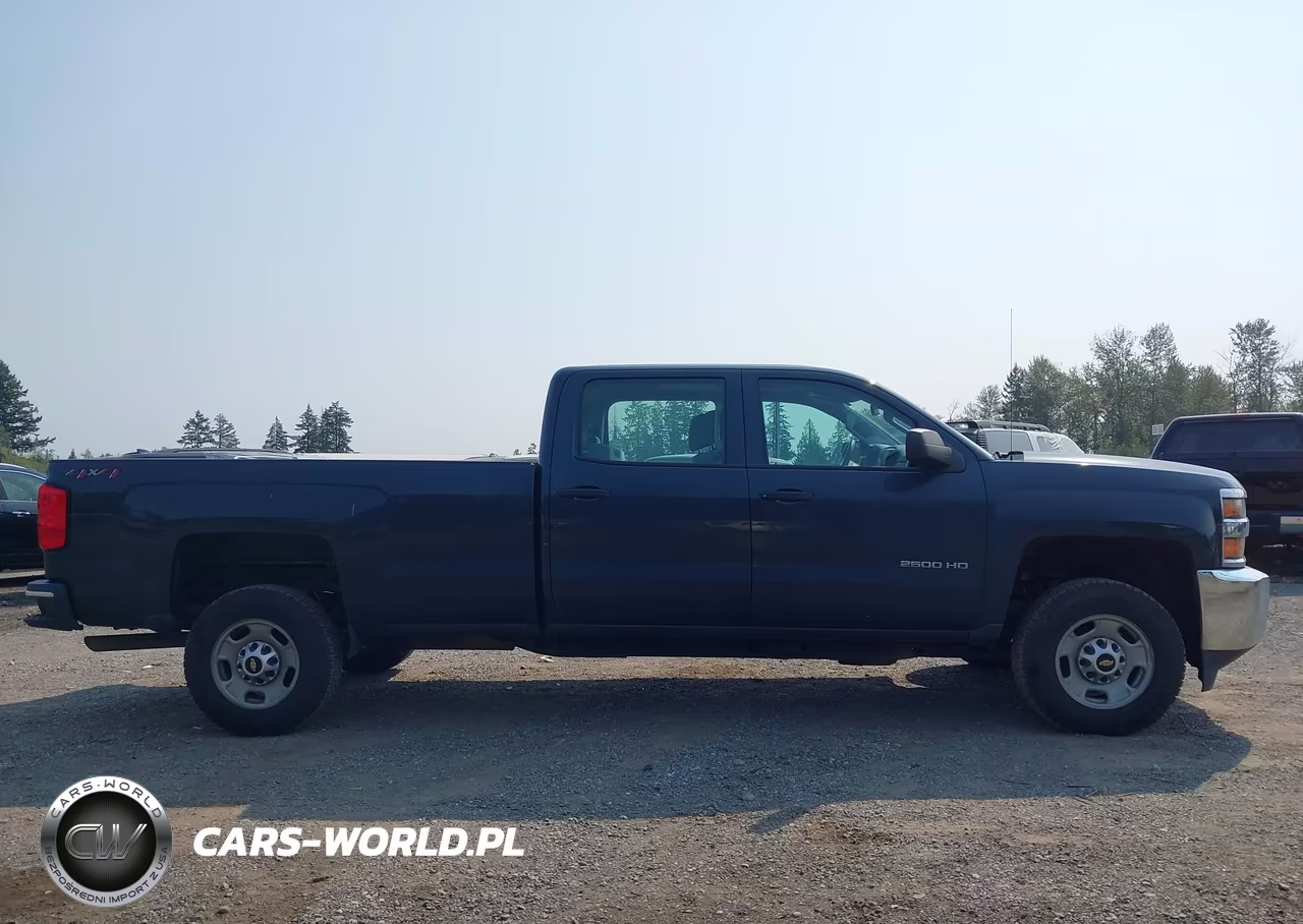 2018 Chevrolet Silverado 2500Hd Wt VIN:1GC1KUEG5JF259271 - 13