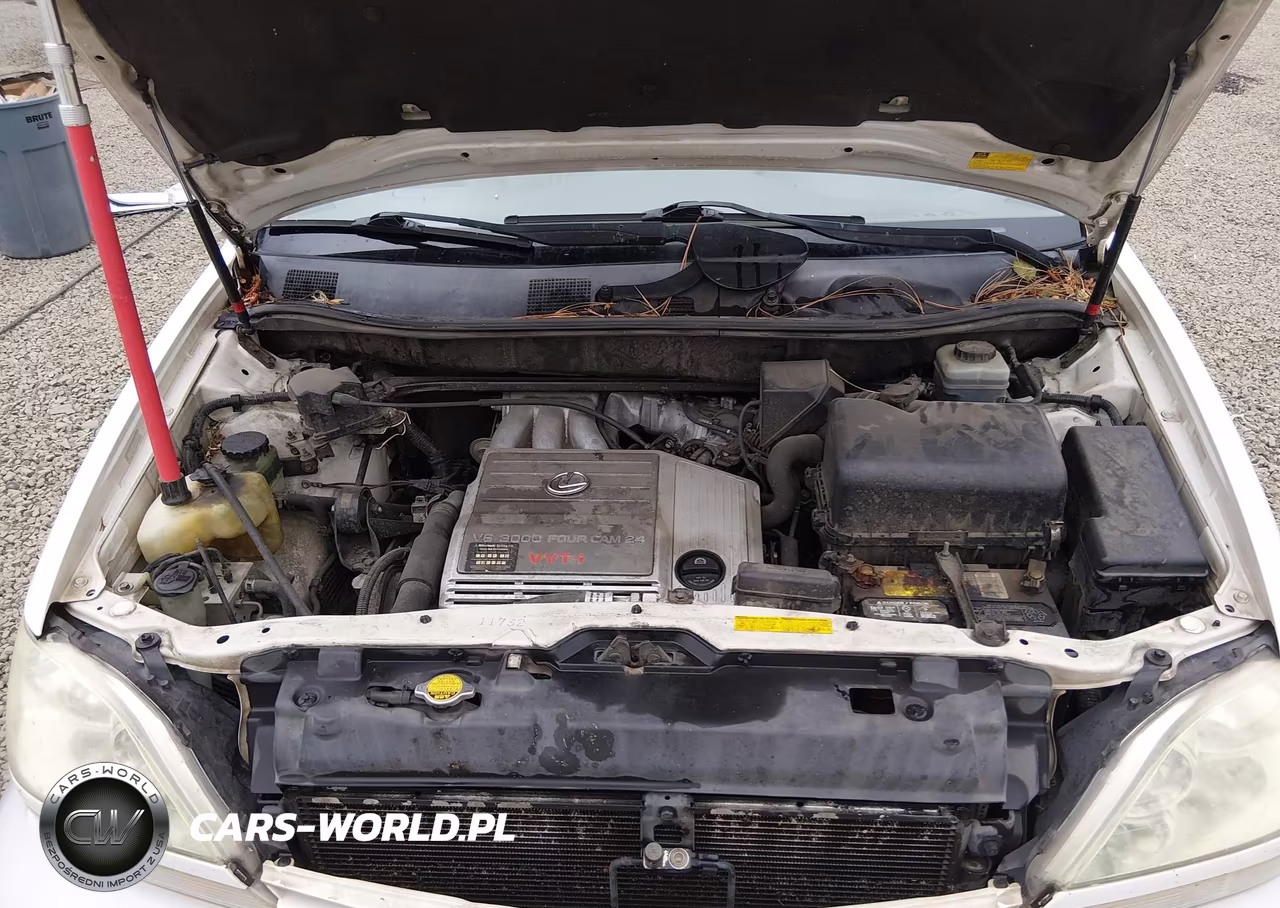 2002 Lexus Rx 300 VIN:JTJHF10U020287558 - 10