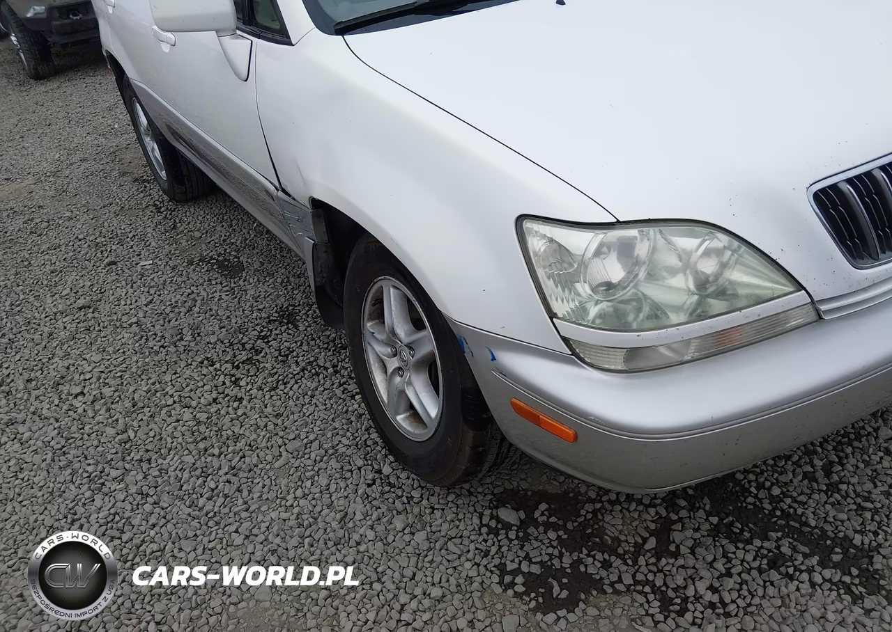2002 Lexus Rx 300 VIN:JTJHF10U020287558 - 18