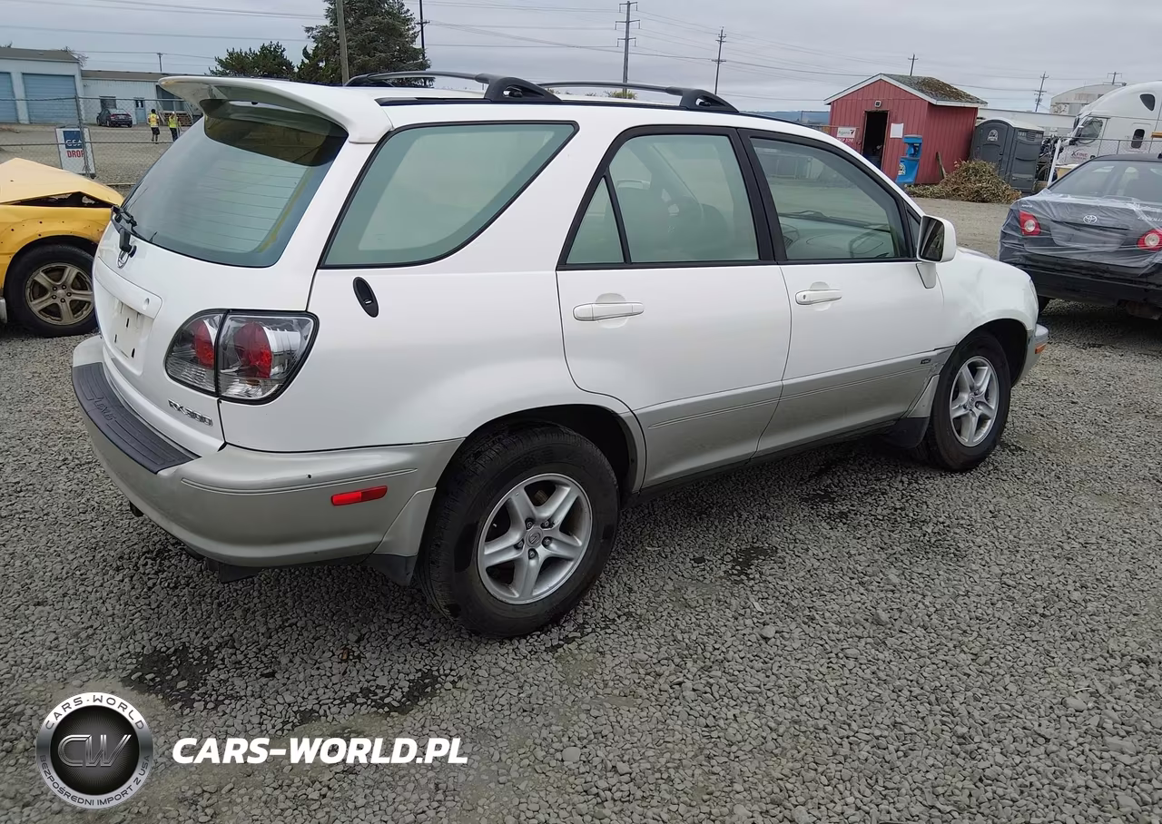 2002 Lexus Rx 300 VIN:JTJHF10U020287558 - 4