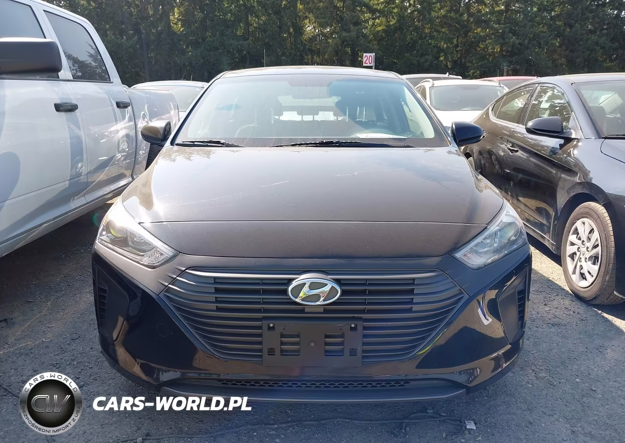 2018 Hyundai Ioniq Hybrid Blue VIN:KMHC65LC3JU100534 - 12