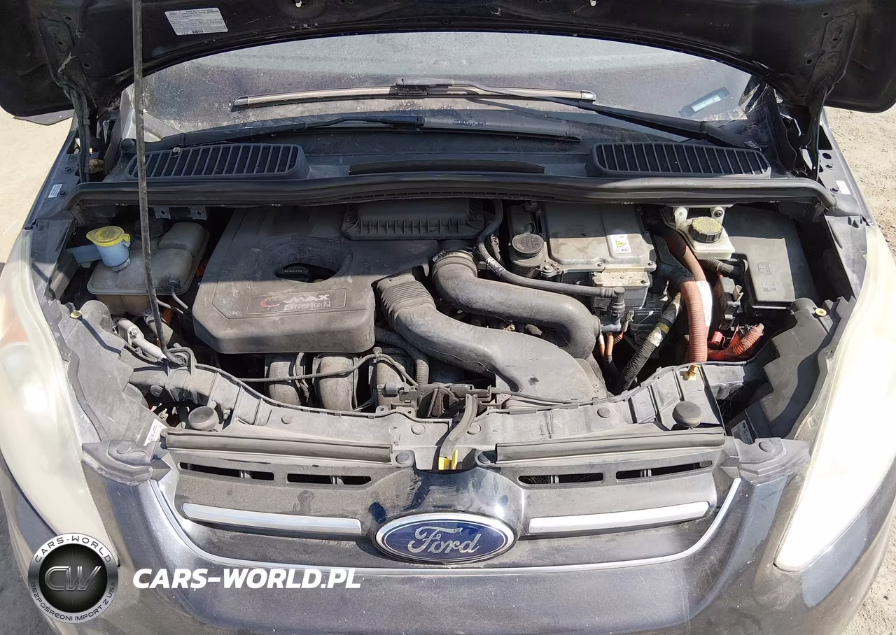 2013 Ford C-Max Energi Sel VIN:1FADP5CU0DL548003 - 10