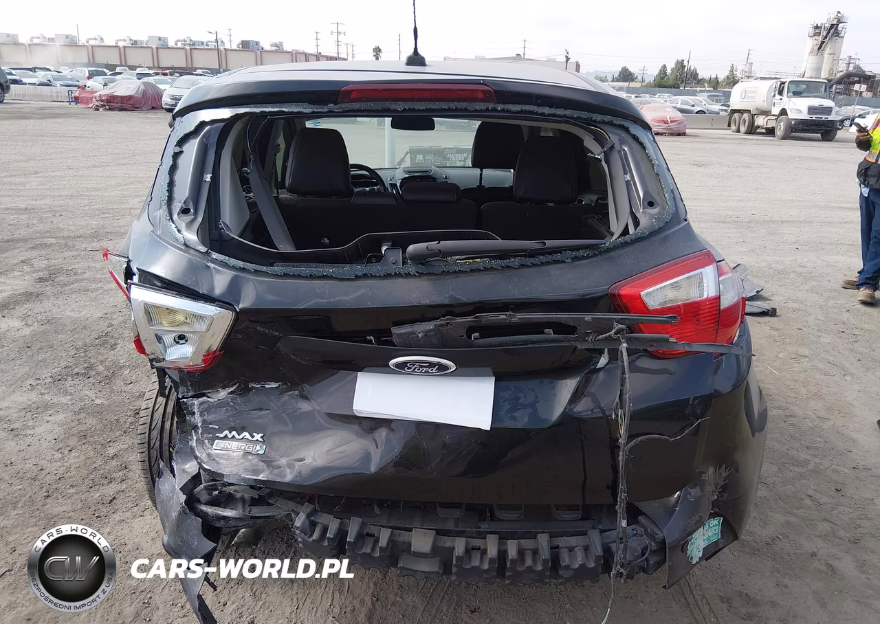 2013 Ford C-Max Energi Sel VIN:1FADP5CU0DL548003 - 16