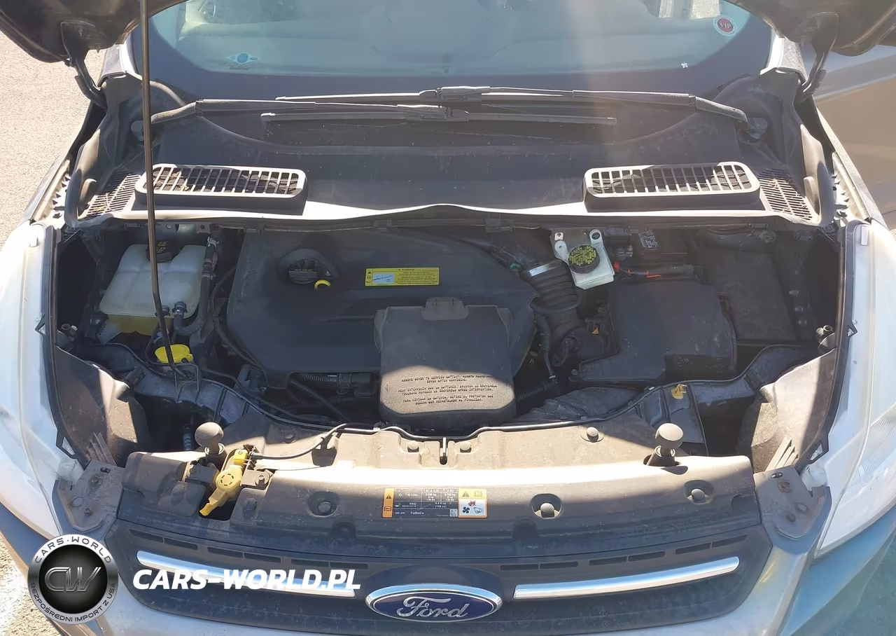 2014 Ford Escape Se VIN:1FMCU0GX7EUB72901 - 10