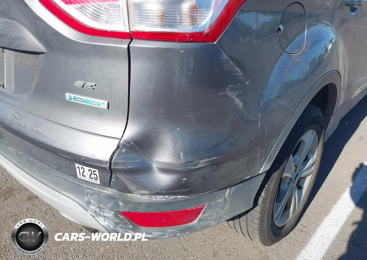 2014 Ford Escape Se VIN:1FMCU0GX7EUB72901 - 12