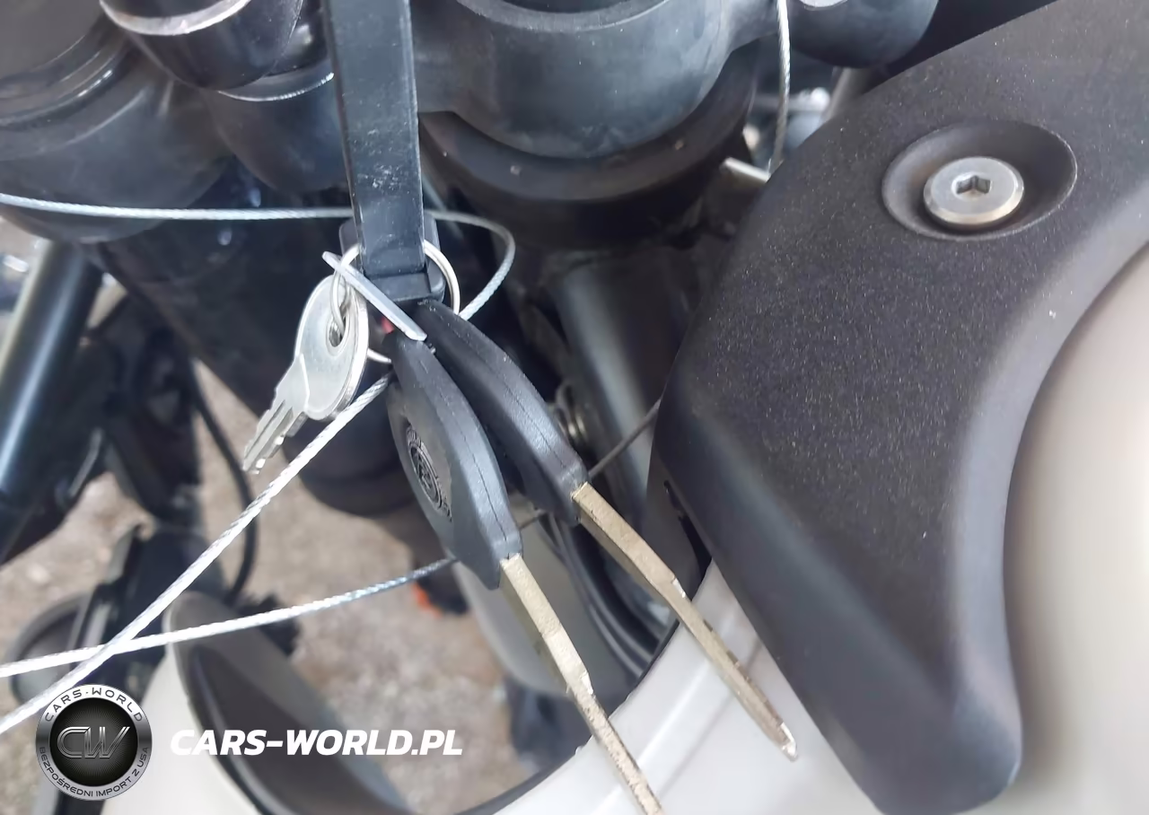 2025 Royal Enfield Motors Himalayan 450 VIN:ME3BGK402SK503085 - 11