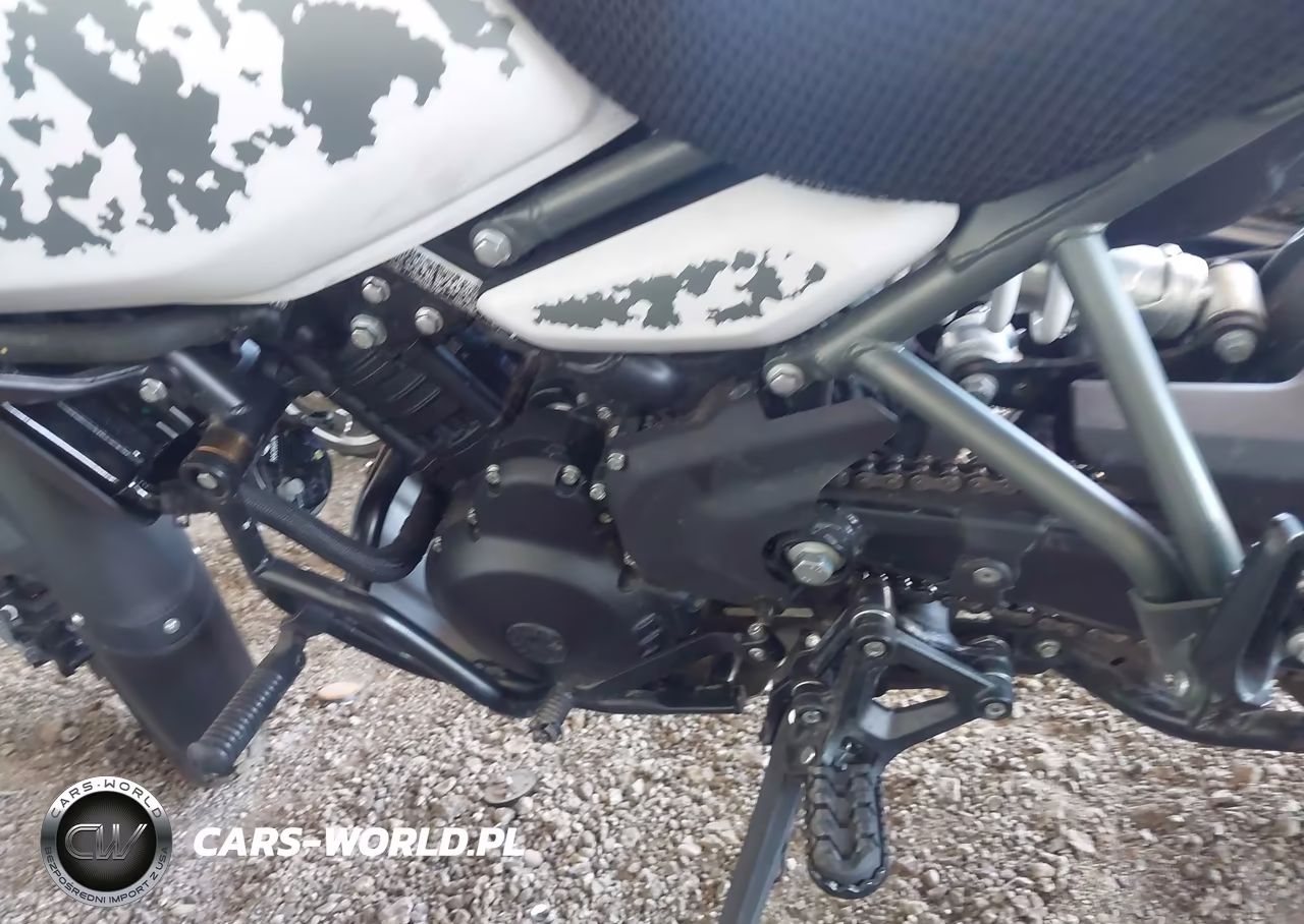 2025 Royal Enfield Motors Himalayan 450 VIN:ME3BGK402SK503085 - 9