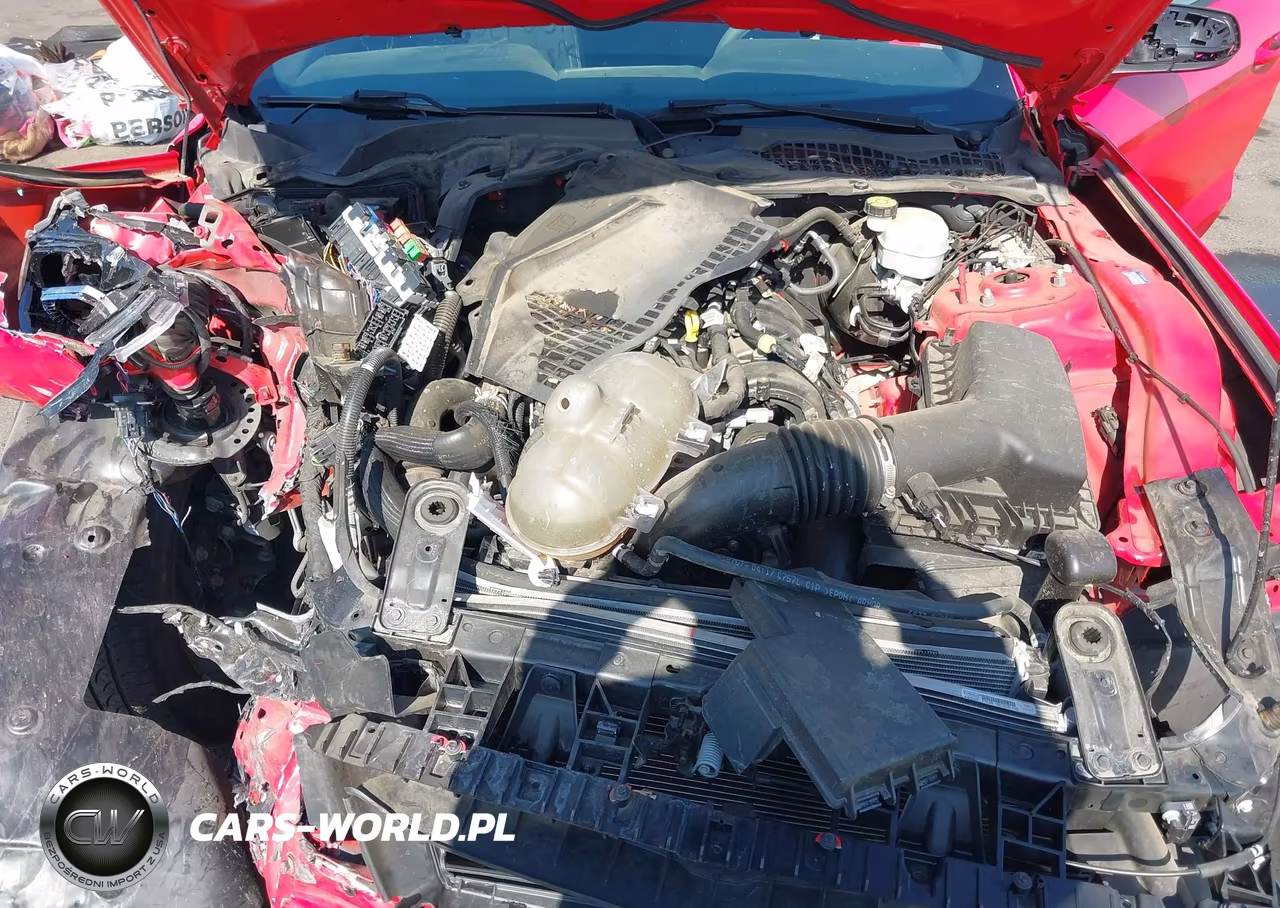 2021 Ford Mustang Ecoboost Fastback VIN:1FA6P8TH0M5120210 - 10