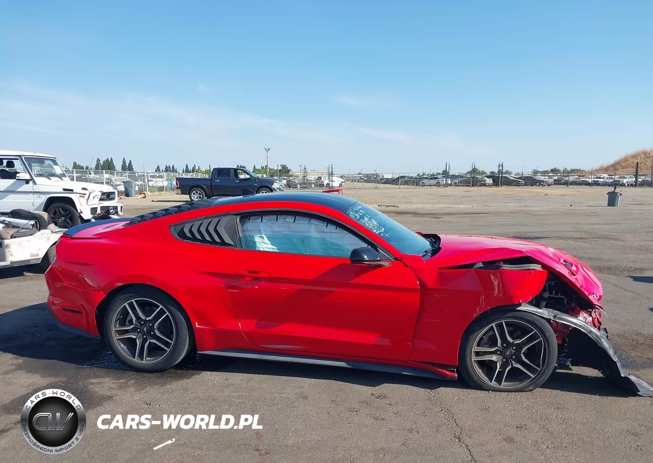 2021 Ford Mustang Ecoboost Fastback VIN:1FA6P8TH0M5120210 - 13