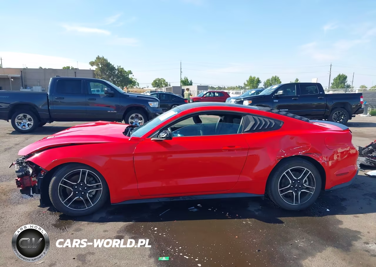2021 Ford Mustang Ecoboost Fastback VIN:1FA6P8TH0M5120210 - 14