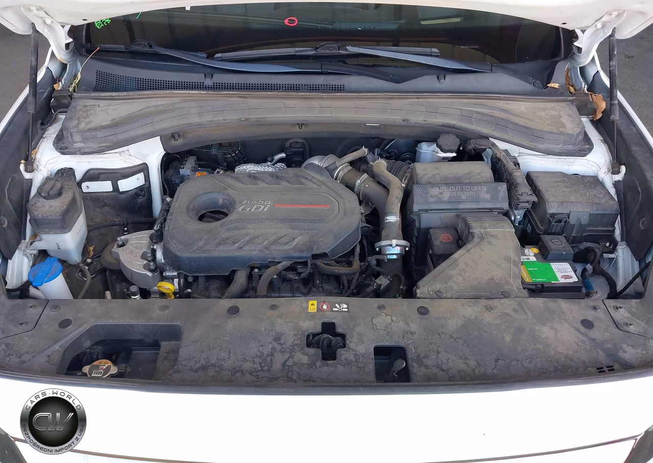 2020 Hyundai Santa Fe Limited 2.0T VIN:5NMS53AA4LH213752 - 10