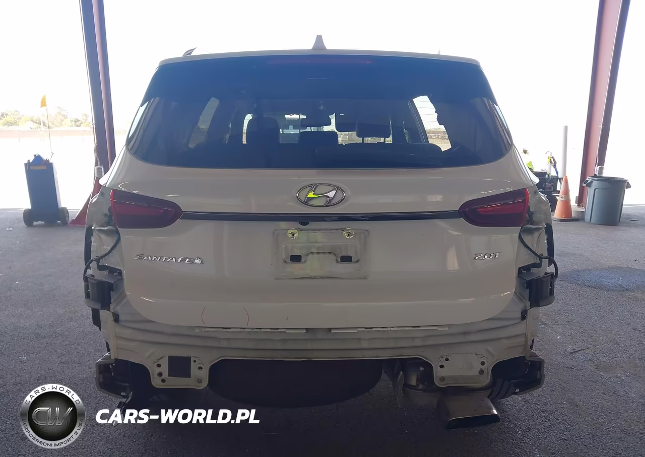 2020 Hyundai Santa Fe Limited 2.0T VIN:5NMS53AA4LH213752 - 19