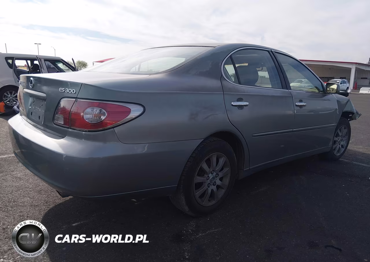 2003 Lexus Es 300 VIN:JTHBF30GX30138881 - 4