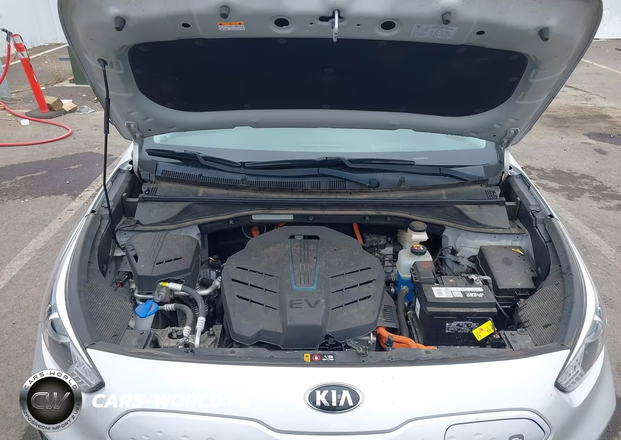 2020 Kia Niro Ev Ex Premium VIN:KNDCE3LG4L5054904 - 10