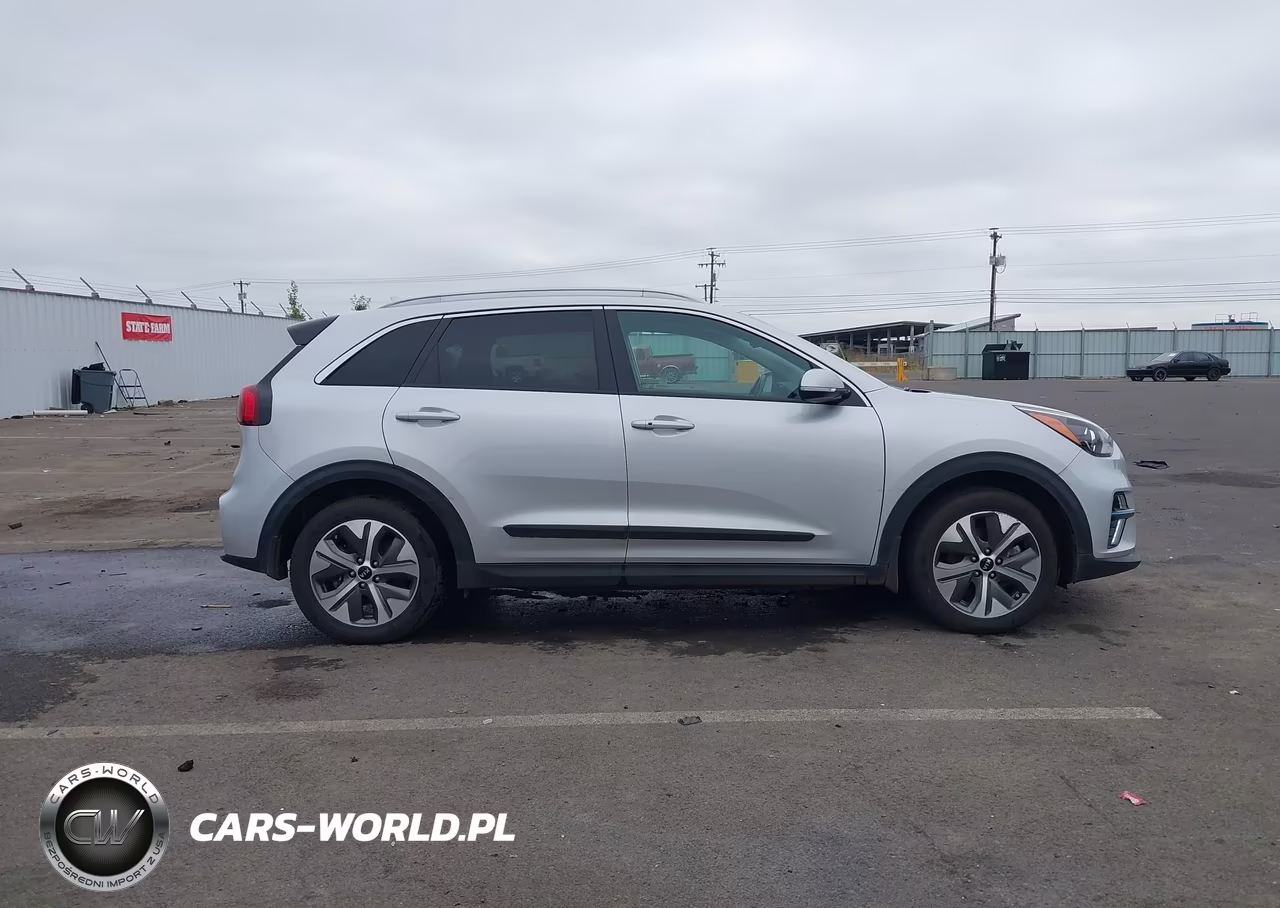 2020 Kia Niro Ev Ex Premium VIN:KNDCE3LG4L5054904 - 13