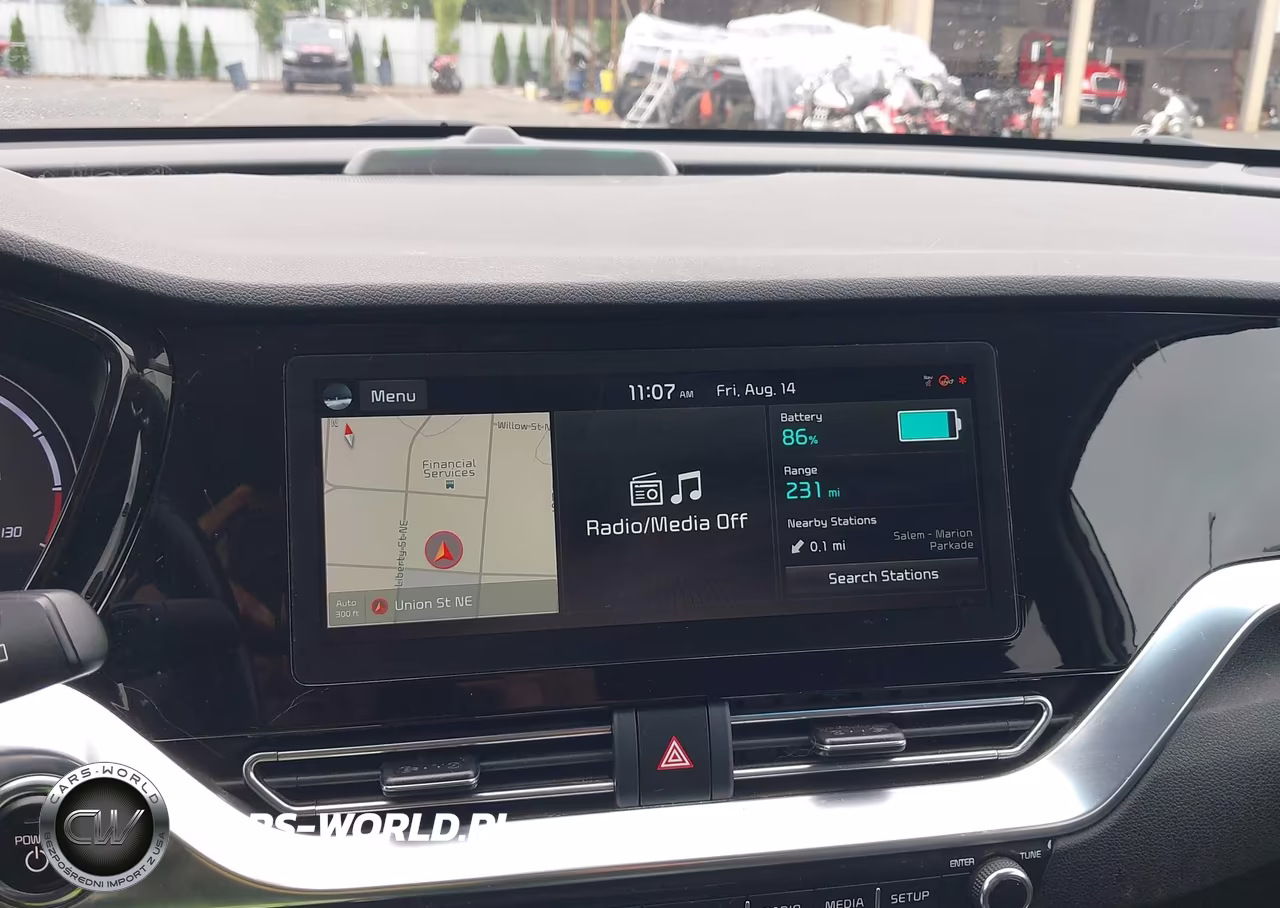 2020 Kia Niro Ev Ex Premium VIN:KNDCE3LG4L5054904 - 17