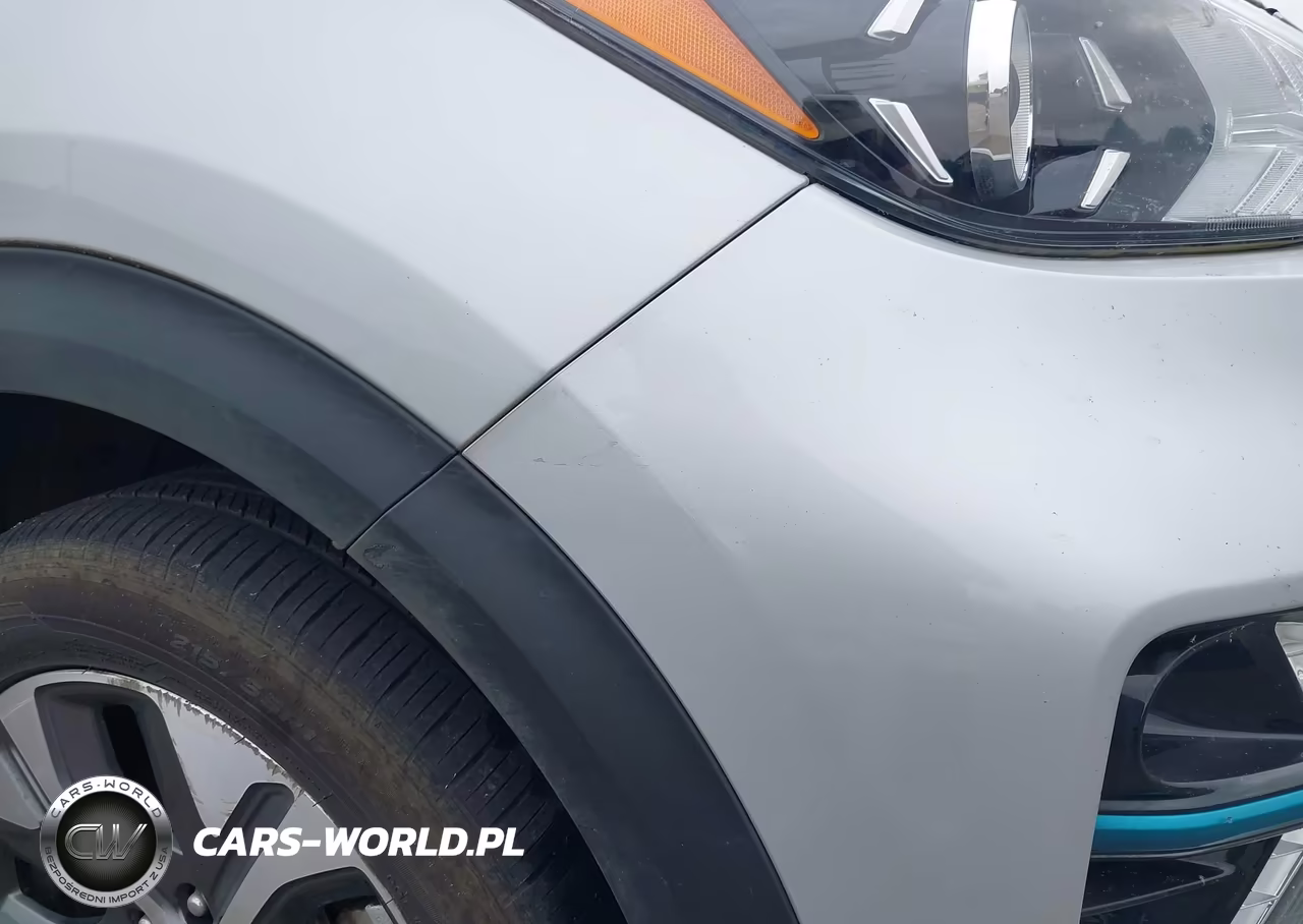 2020 Kia Niro Ev Ex Premium VIN:KNDCE3LG4L5054904 - 19