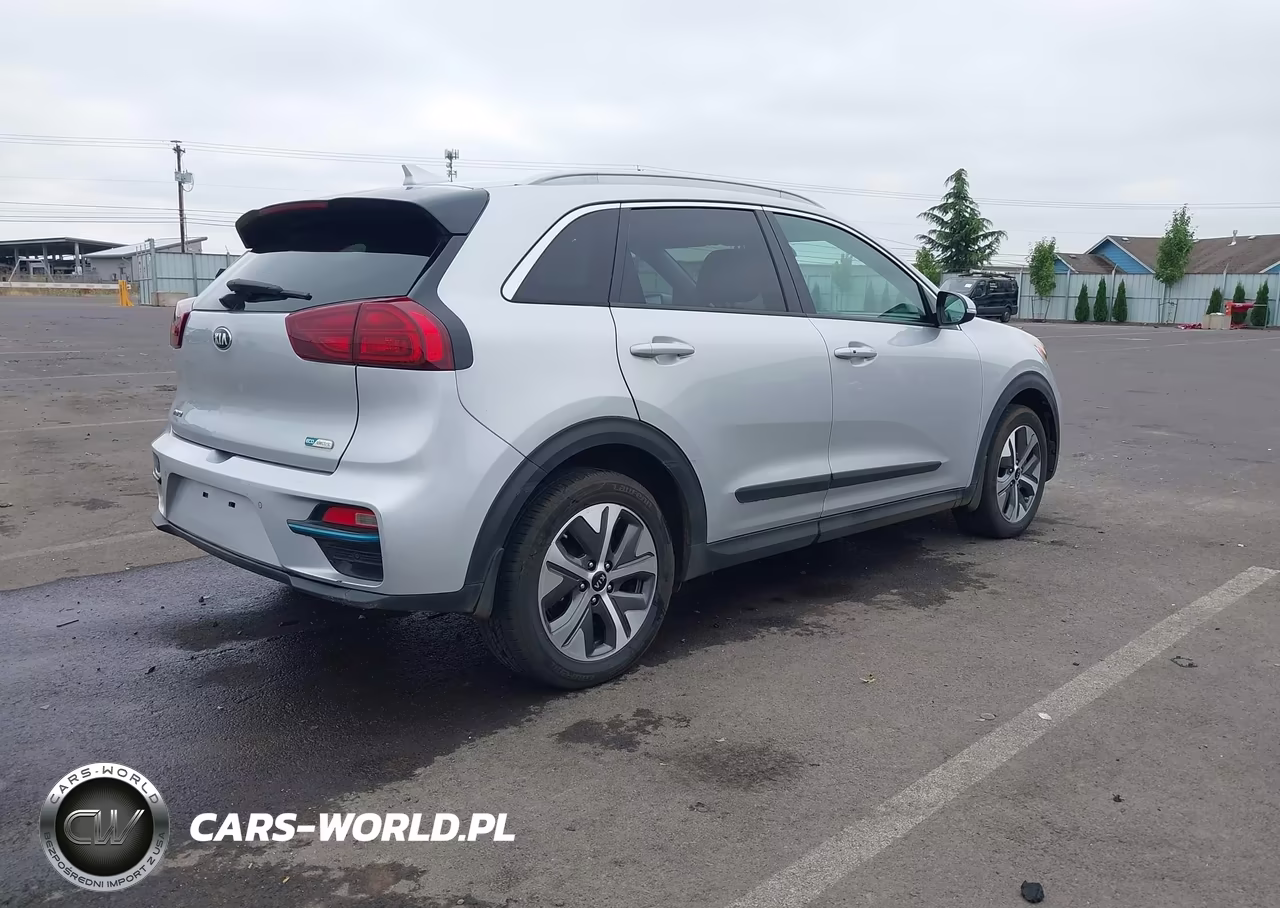 2020 Kia Niro Ev Ex Premium VIN:KNDCE3LG4L5054904 - 4