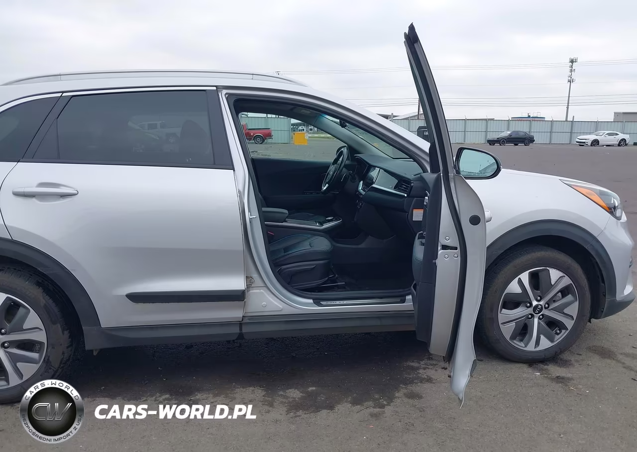 2020 Kia Niro Ev Ex Premium VIN:KNDCE3LG4L5054904 - 5