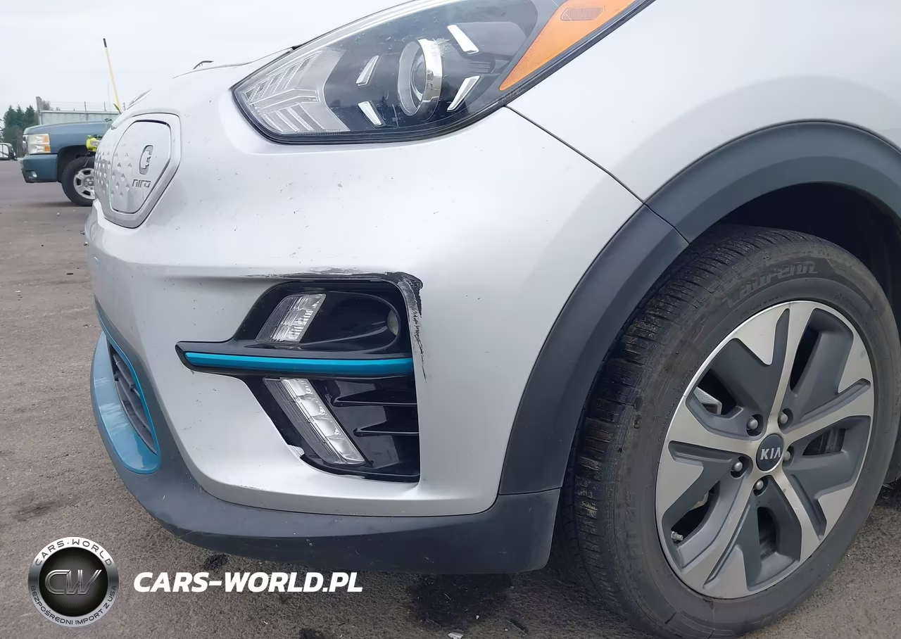2020 Kia Niro Ev Ex Premium VIN:KNDCE3LG4L5054904 - 6
