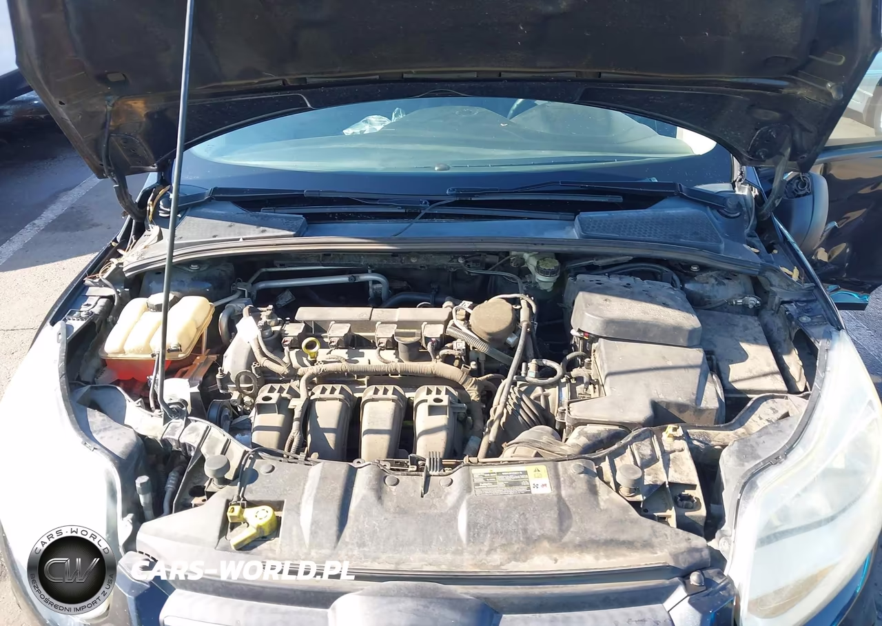2013 Ford Focus S VIN:1FADP3E2XDL313771 - 10