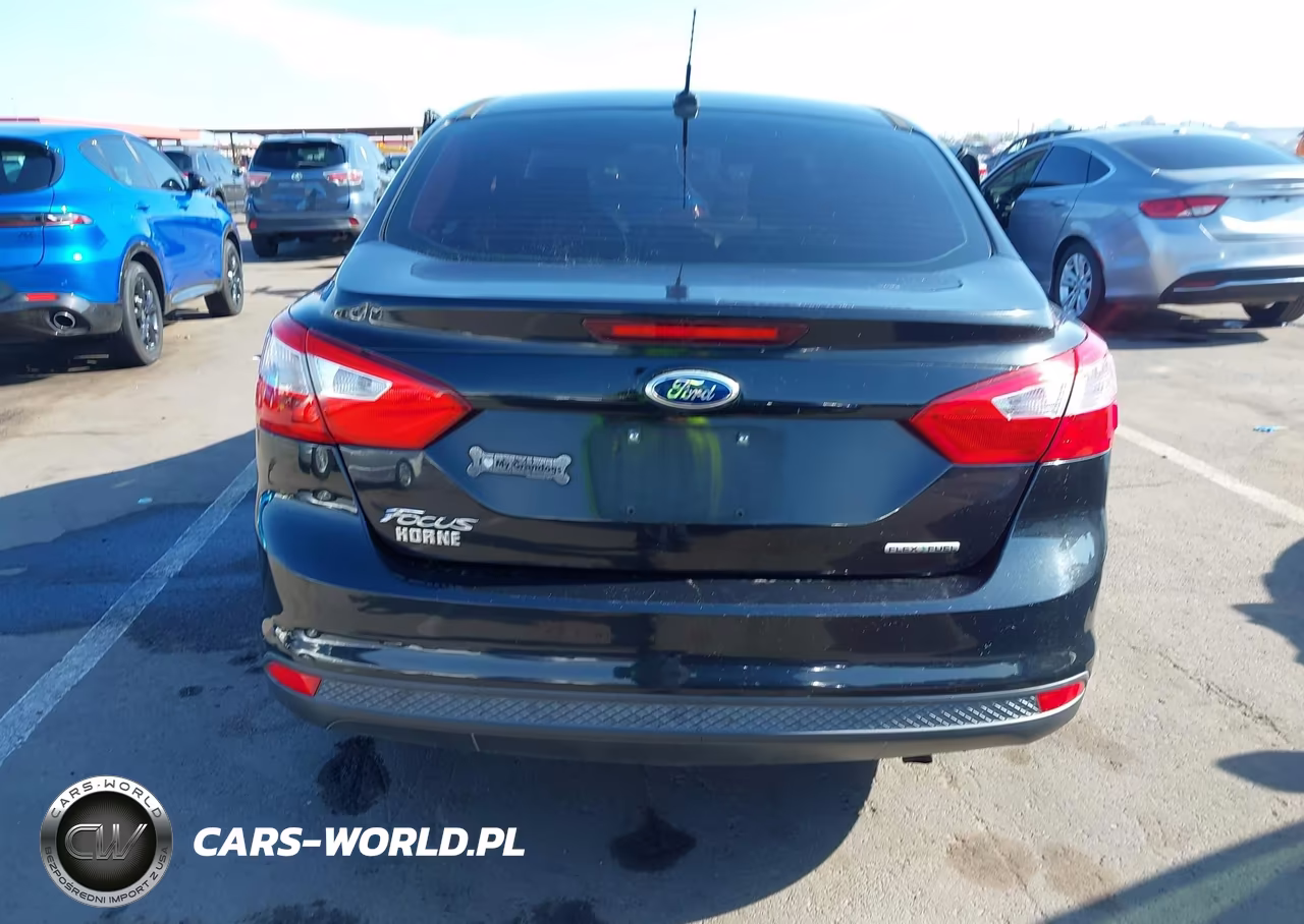 2013 Ford Focus S VIN:1FADP3E2XDL313771 - 16